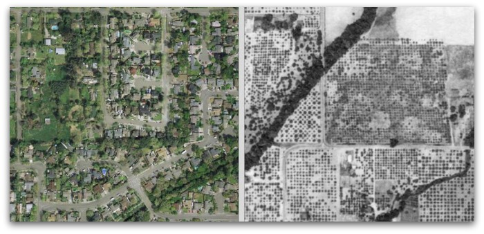 1942 and 2011 Aerials of the Santa Rosa Plain